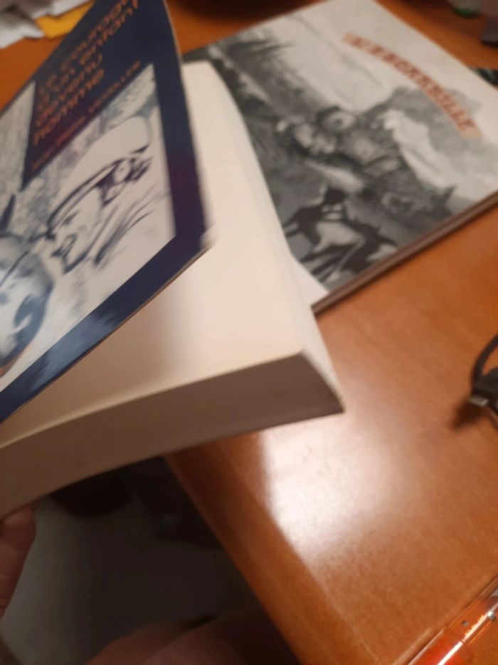 Livre extraordinaire le courage d'un enfant devenu homme - photo numéro 3