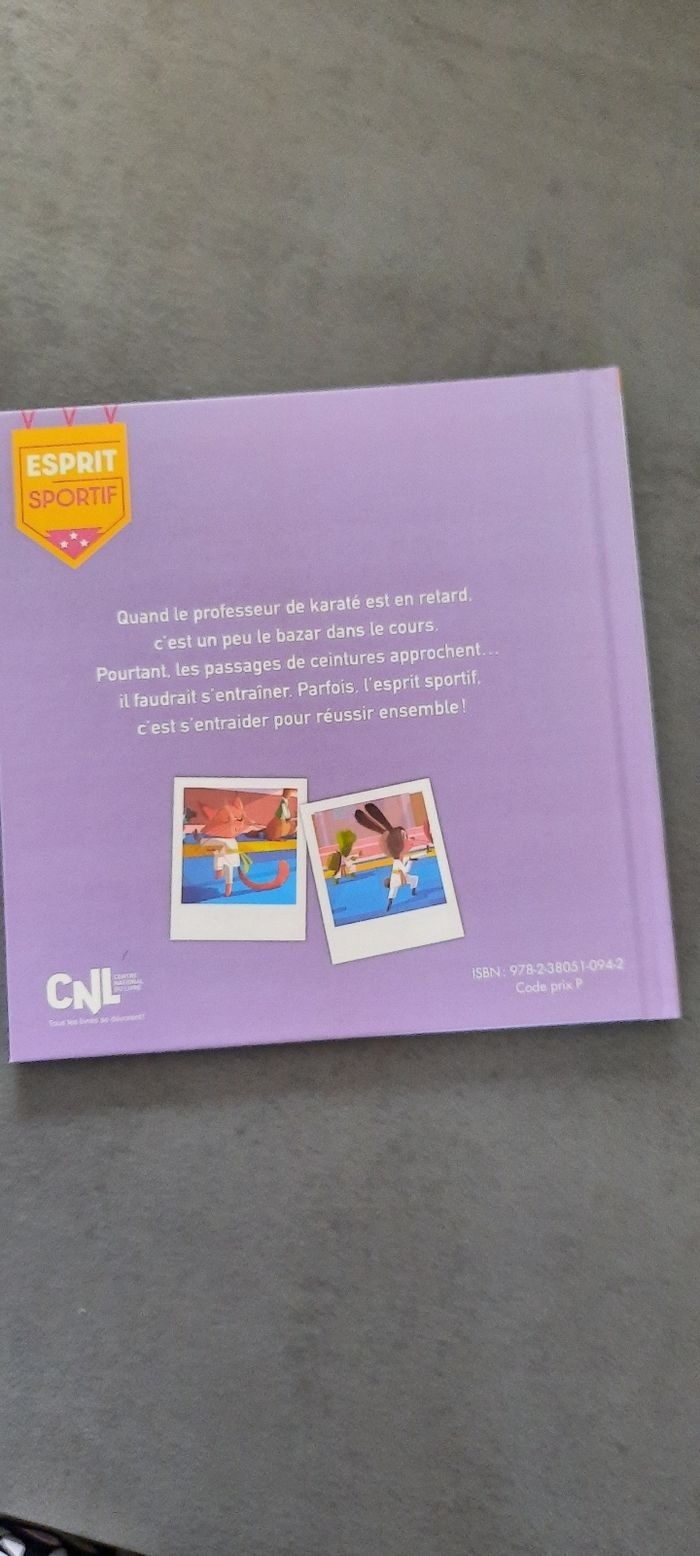 Le tournoi de karaté - photo numéro 4