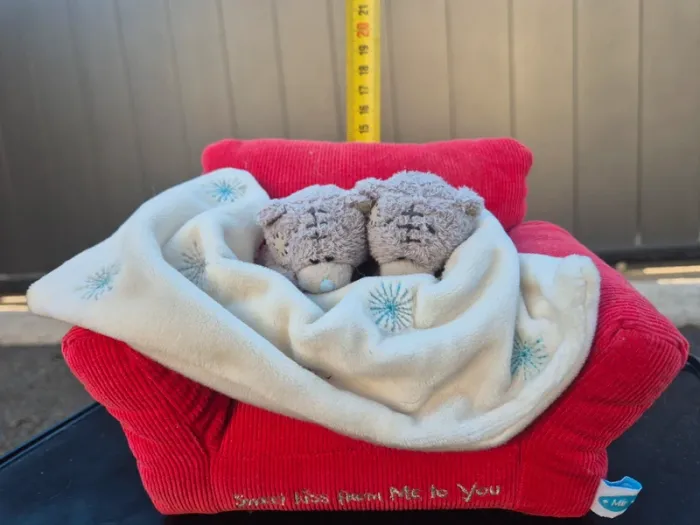 Lot peluche me to you - photo numéro 5