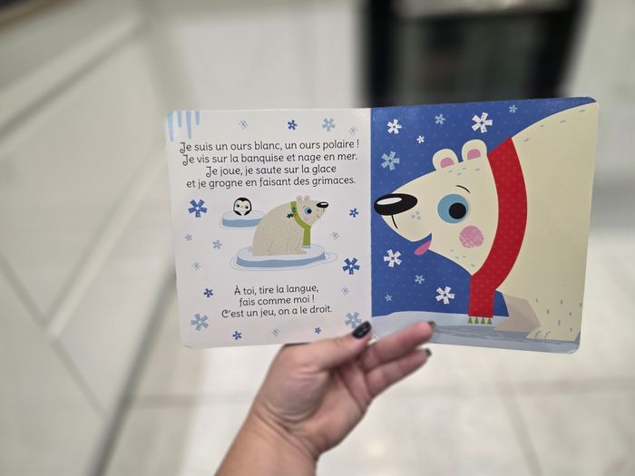 Joue avec des amis de l'hiver - photo numéro 5