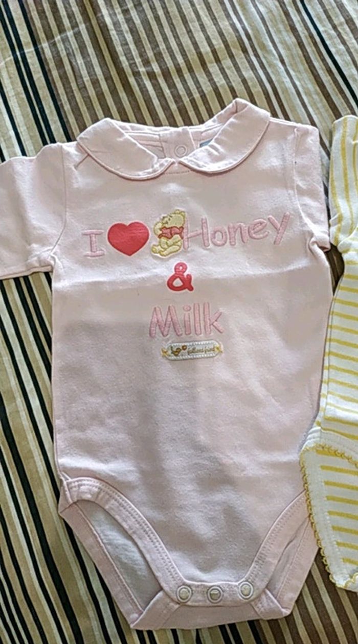 Lot 3 bodies manches longues 3 mois - photo numéro 2