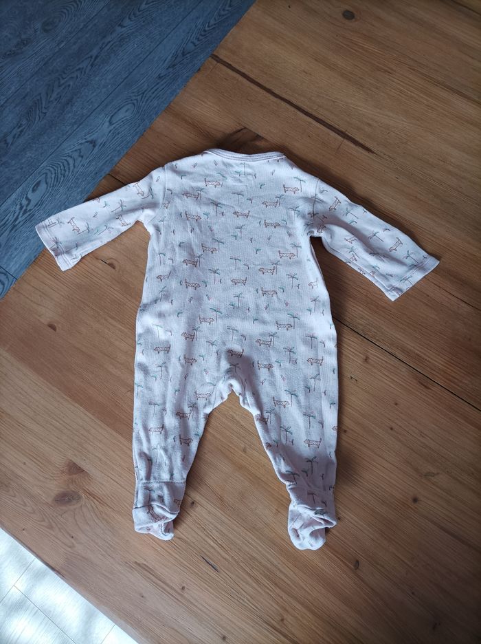 Grenouillère - photo numéro 3