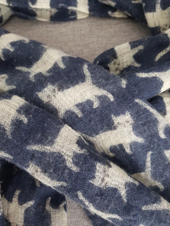 Écharpe motif chats