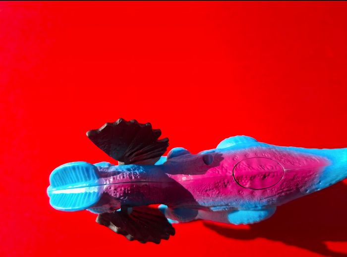 Dinosaure avec bruitage - photo numéro 4