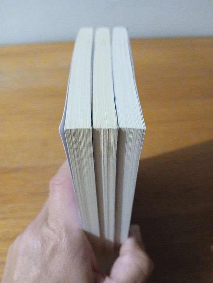 Lot le club des baby-sitters - photo numéro 16