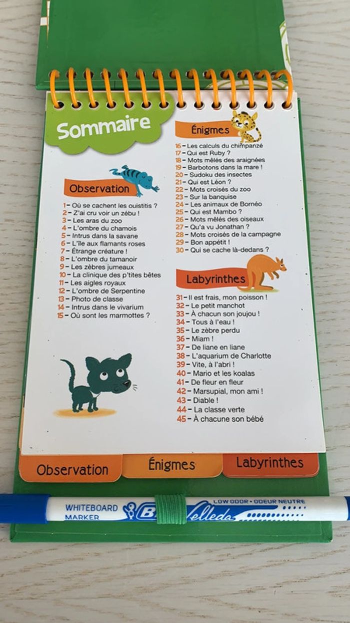 Livre 45 jeux effaçables Auzou - photo numéro 2