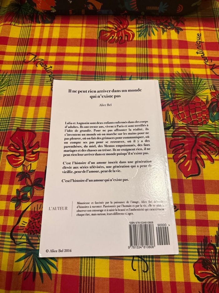 Llvre il ne peut rien arriver dans un monde qui n’existe pas - Alice bel - photo numéro 7