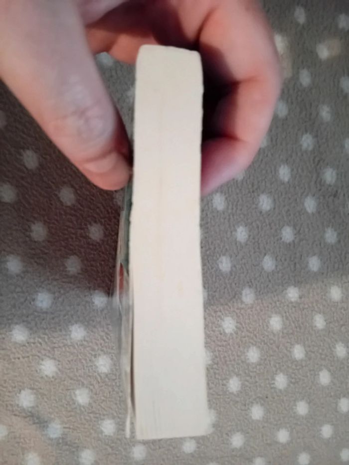 Livre poche la sélection de kiera cass - photo numéro 5