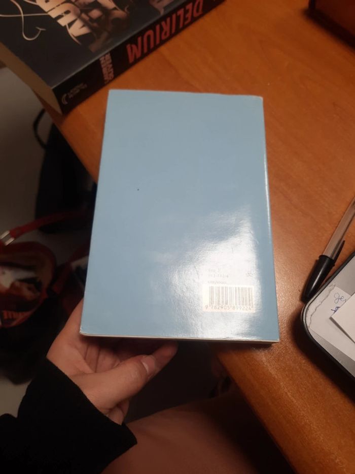 Livre 1 parlement burlesque - photo numéro 4