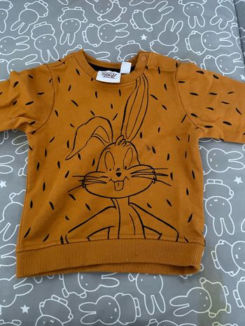 pull looney tunes
