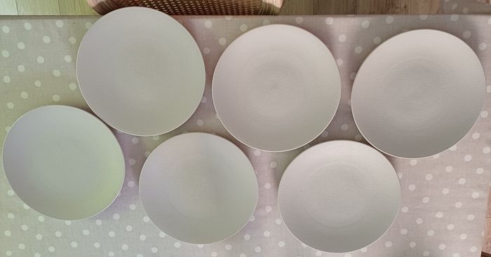 Lot 6 assiettes Grès Terre de passion - photo numéro 5