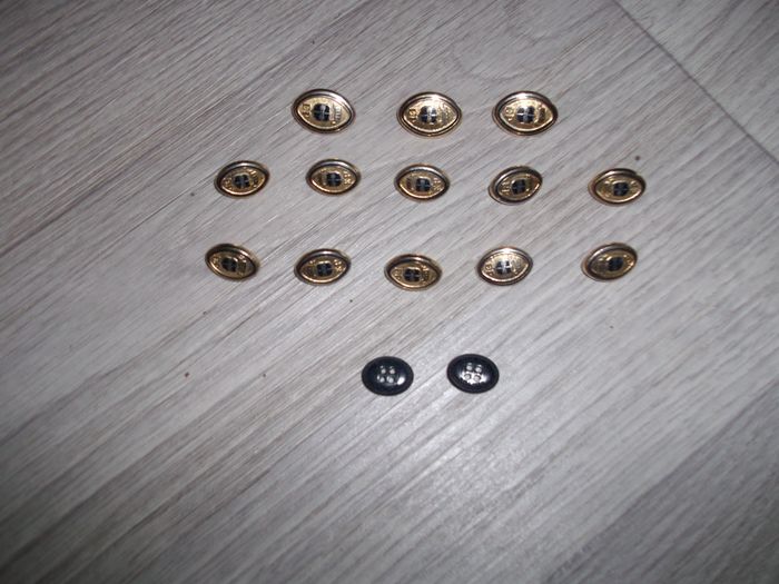 Lot de 15 boutons EDEN PARK doré et marine, ovales TBE - photo numéro 2