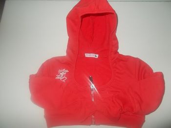 Gilet à capuche