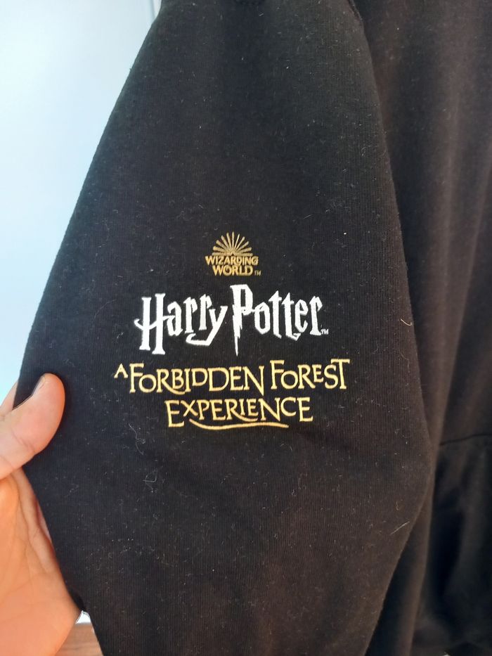 Sweet /pull Harry Pottrr - photo numéro 2