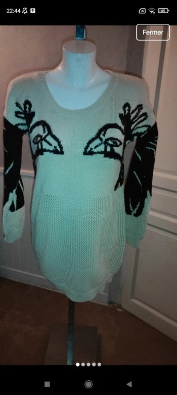 Très beau pull long f24