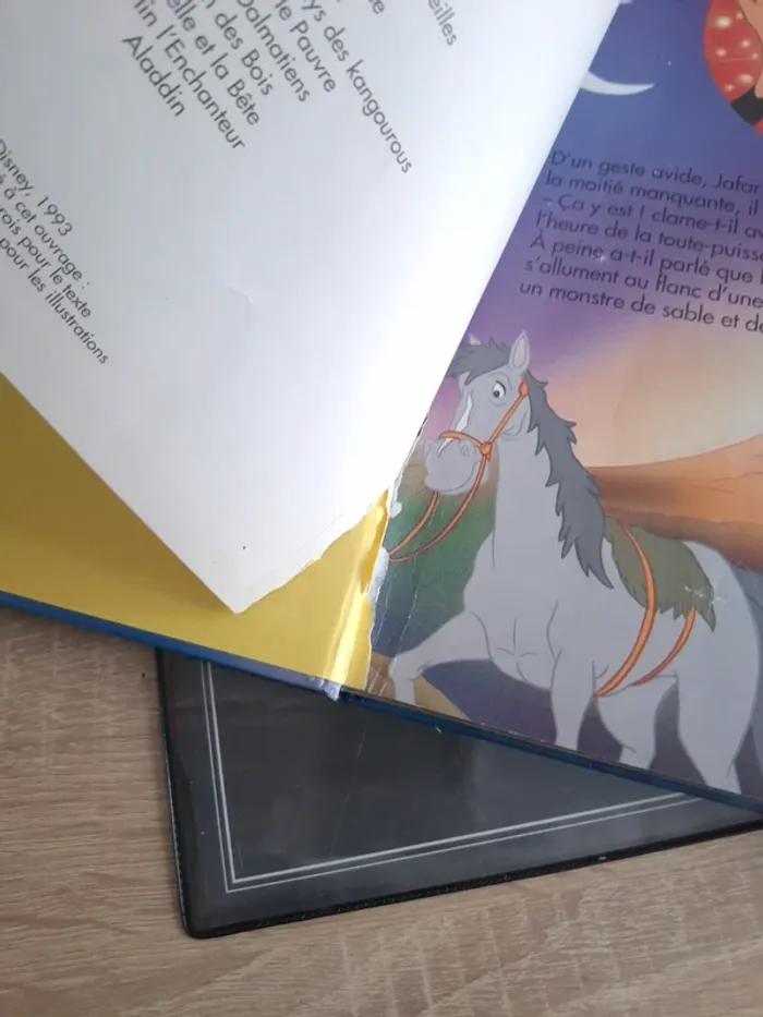 Livre Disney / Aladin - photo numéro 5