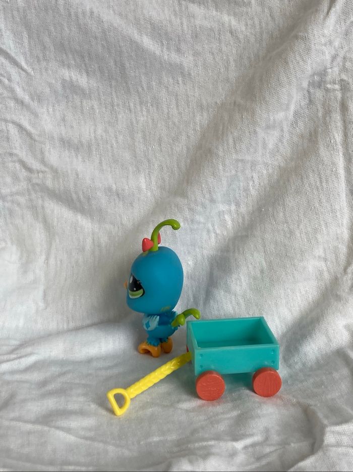lps caille - photo numéro 2