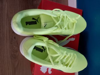 Basket puma