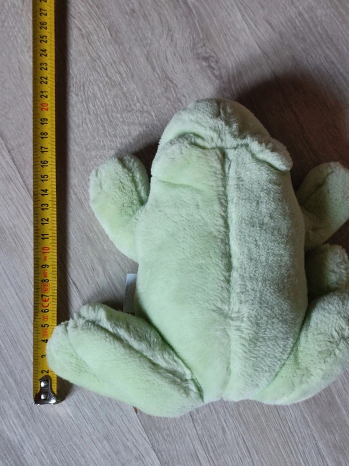 Grenouille - photo numéro 3