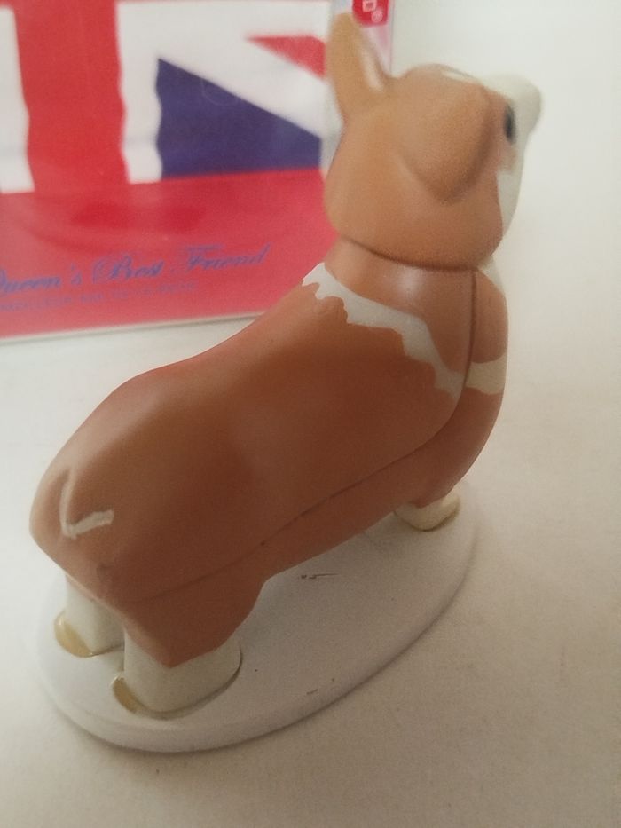 Solar Corgi - Kikkerland - photo numéro 6