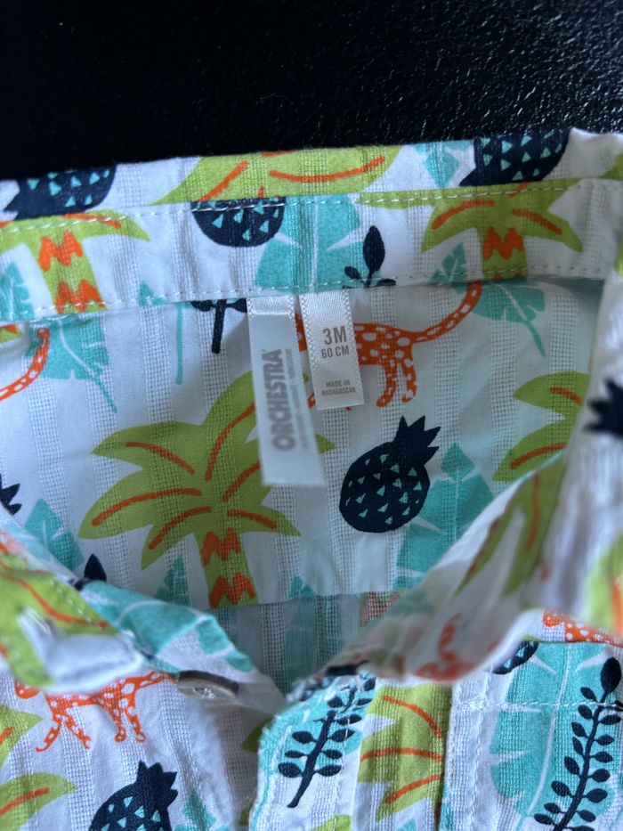 Chemise orchestra - photo numéro 2