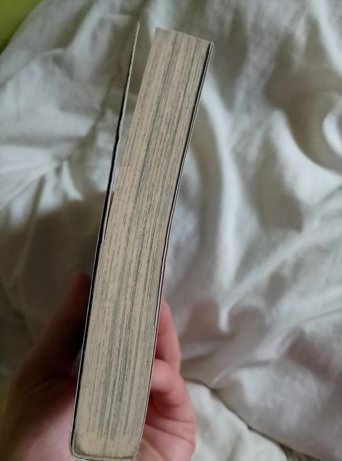 Eagle - photo numéro 5