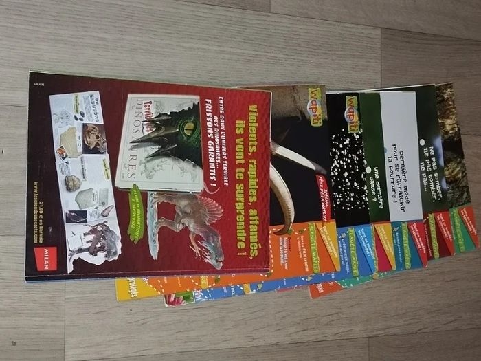 Lot de 7 magazines Wapiti année 2008-09 L025  7585218311 - photo numéro 5