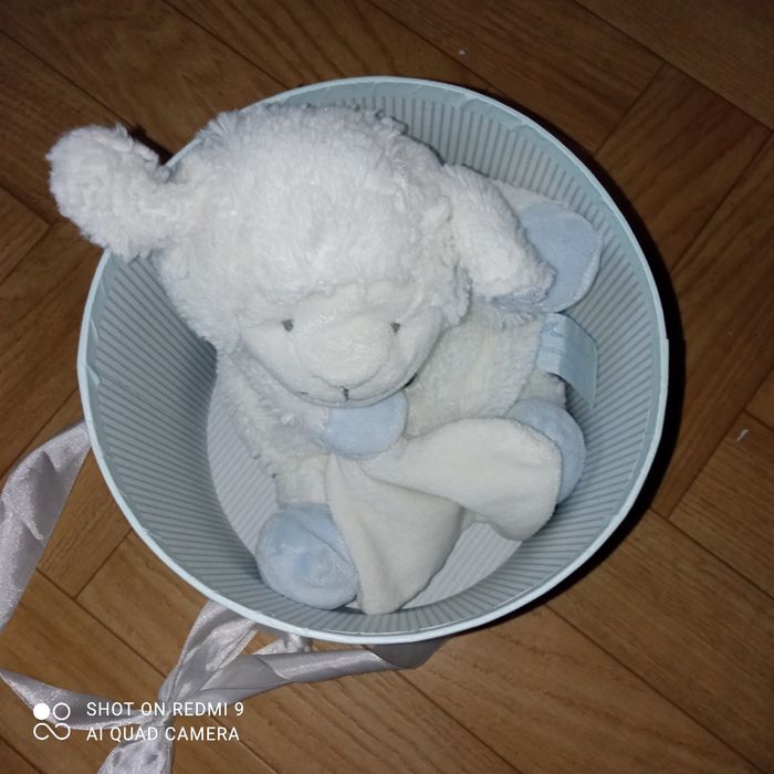 Doudou et compagnie mouton