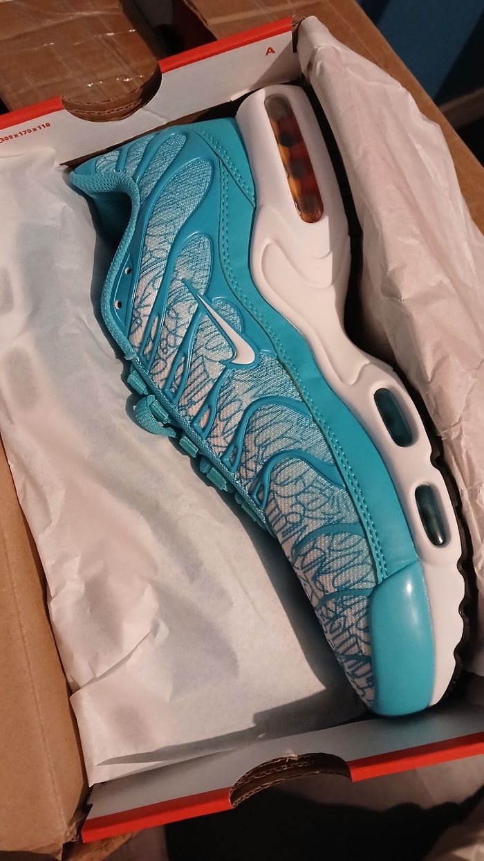 Basket tn - photo numéro 6