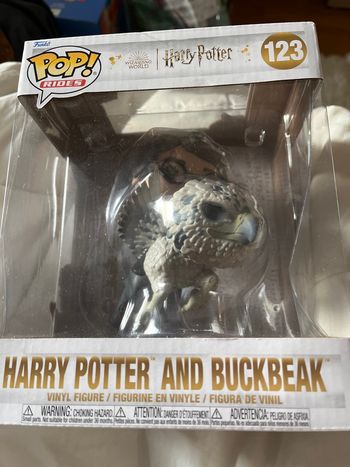 Pop Harry Potter 123 Harry et buck
