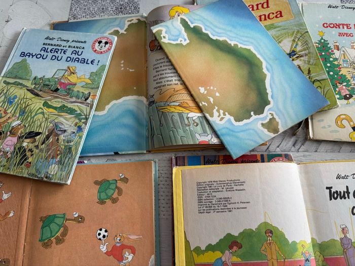 12 livres Disney - photo numéro 5