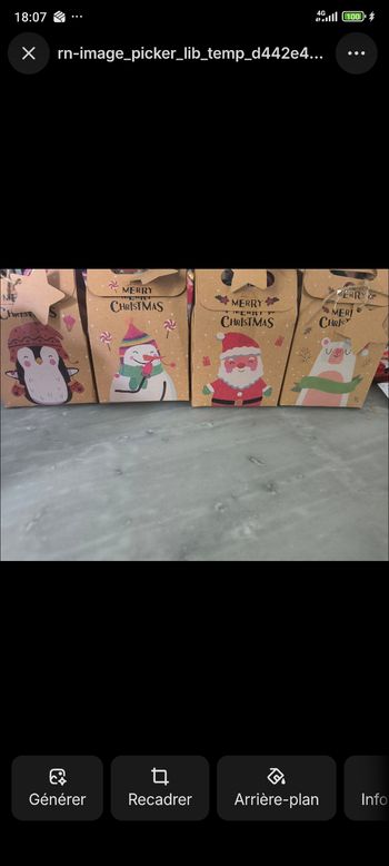 Lot de 4 box de Noël anti-gaspi date 31/01/26