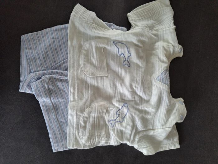 ensemble short dauphin 12 mois