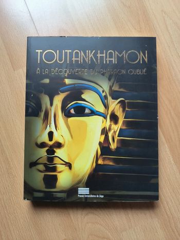 Livre sur Toutankhamon
