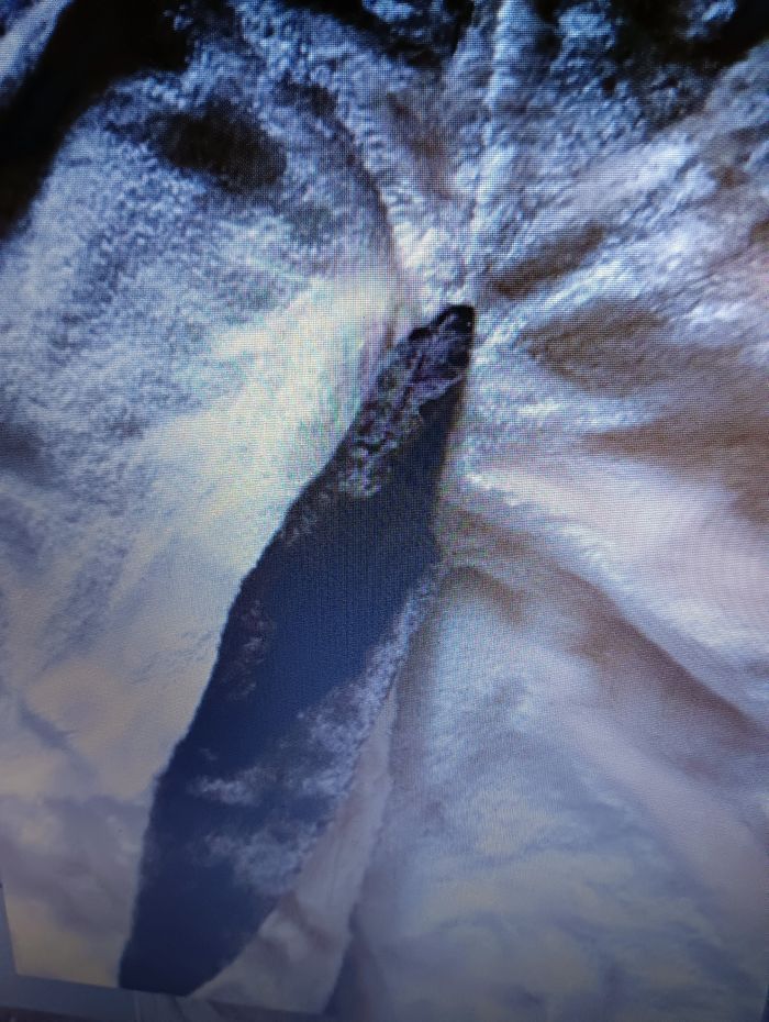 Déguisement CHIEN taille 3 / 4 ans - photo numéro 8