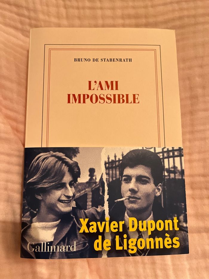 Livre « l’ami impossible »
