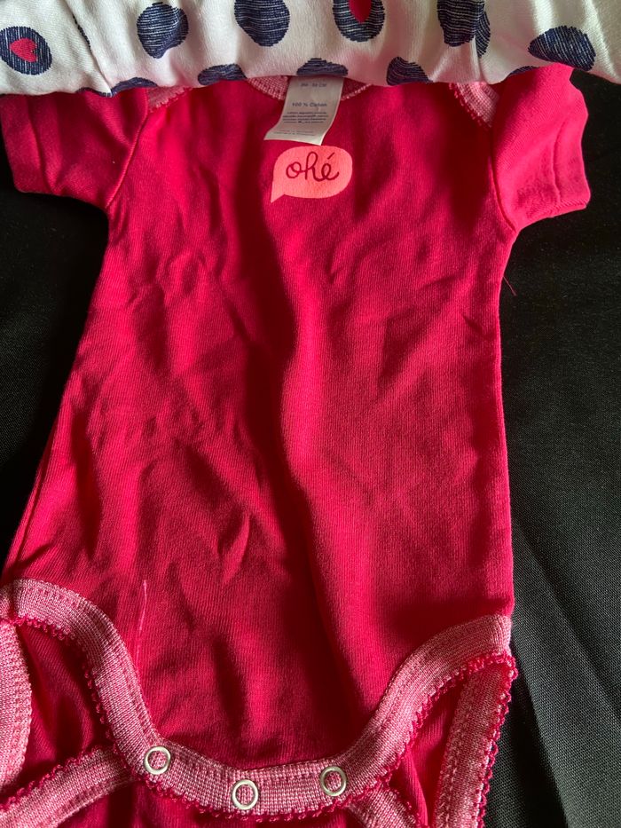 Lot de 3 bodies fille manches courtes - photo numéro 5