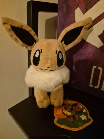 Peluche Evoli neuve