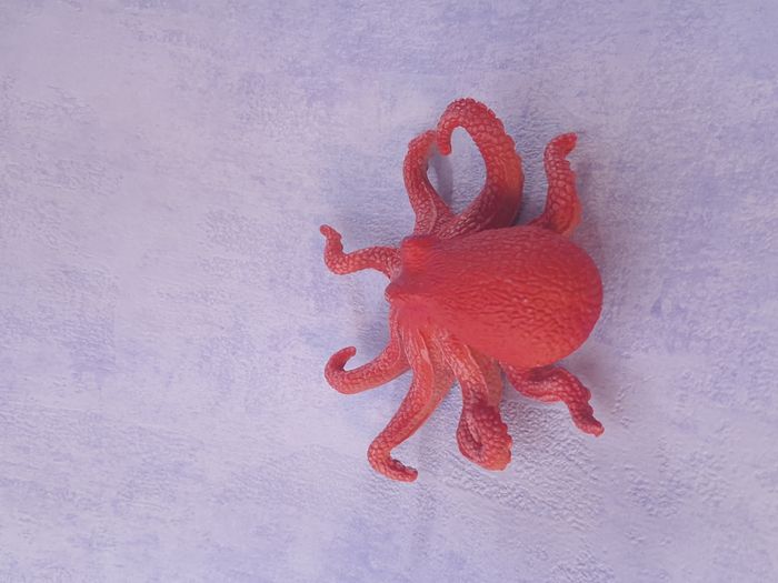 Jouet type schleich pieuvre octopus - photo numéro 3