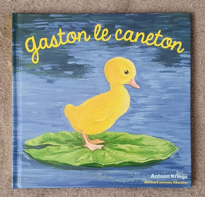 Livre Tome N°53 "Gaston, le Caneton" - Coll. Drôles de Petites Bêtes (3-7 ans) / Gallimard Jeunesse