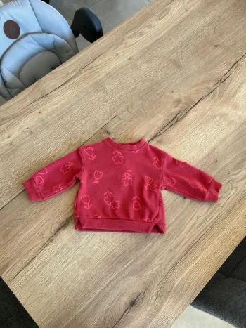 Pull Gemo 6 mois