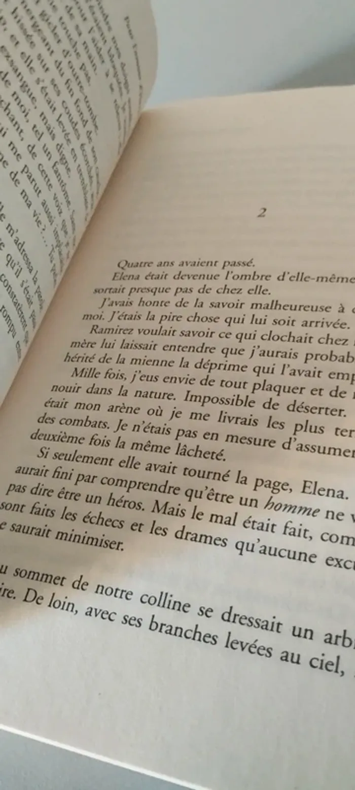 Pour l'amour d'Elena. - photo numéro 4