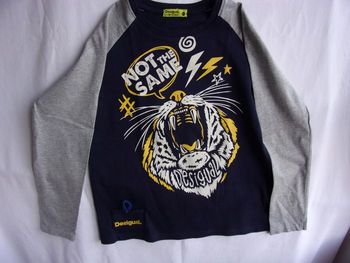 Tee Shirt Desigual 11/12 ans