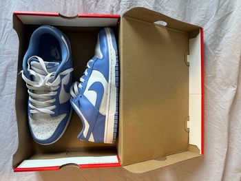 Nike dunk