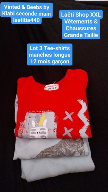 Lot 3 Tee-shirts M.longue 12 mois garçon