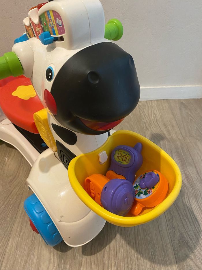 Zèbre 3 en 1 - photo numéro 4