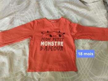 T shirt coton biologique taille 18 mois