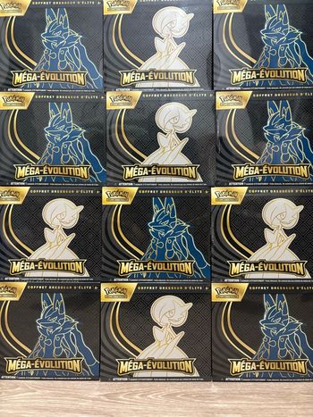 Etb lucario + coffret reshiram