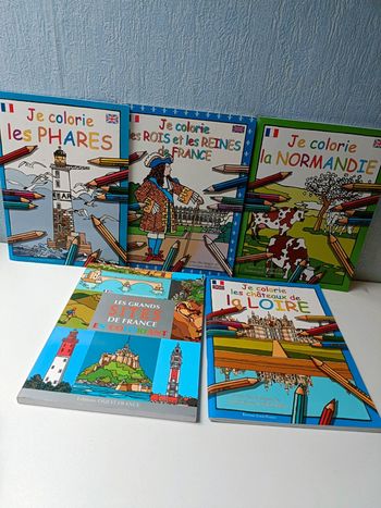 Lot de livres de coloriages