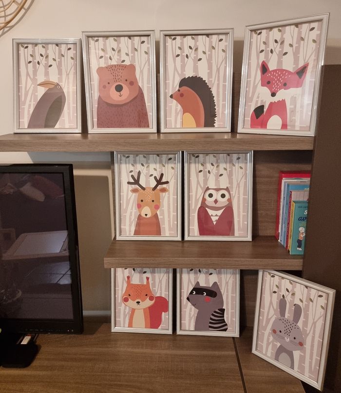 Cadres animaux de la forêt